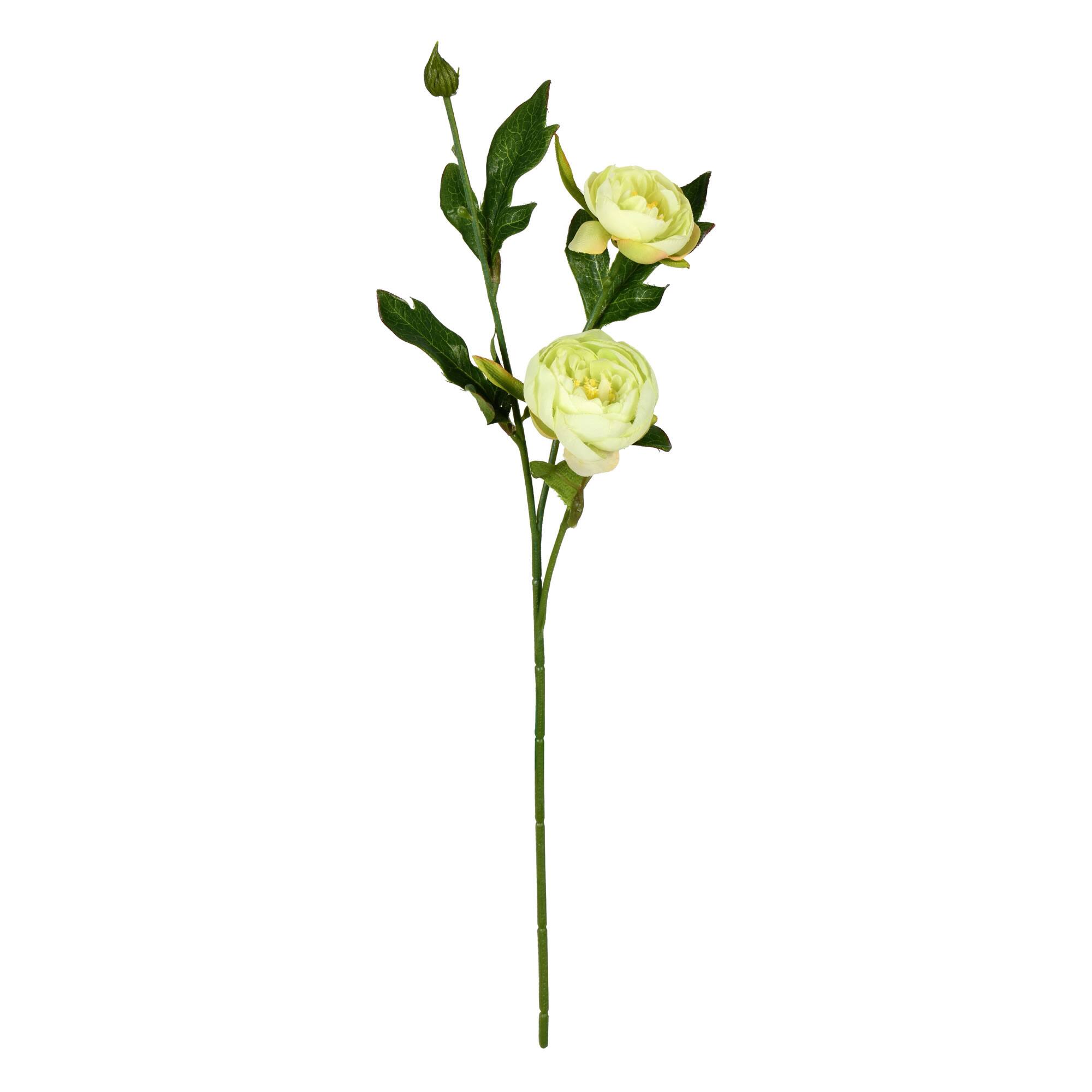 6 Pack: Lime Peony Spray